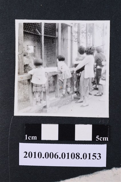 1961.11.25遊動物園4 (共1張)