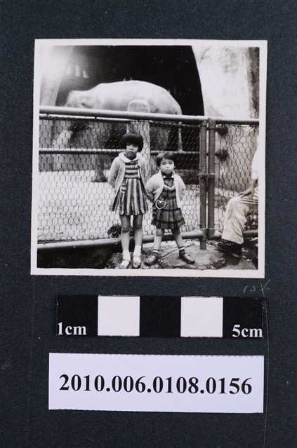 1961.11.25遊動物園7 (共1張)