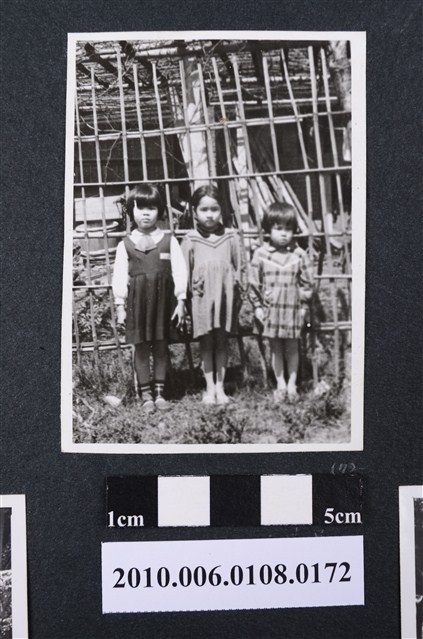 曹恕女兒等三人合照 (共1張)