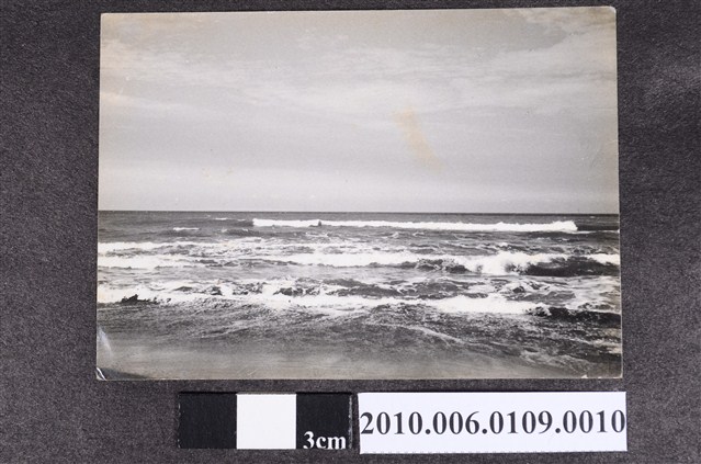 海邊一景 (共1張)