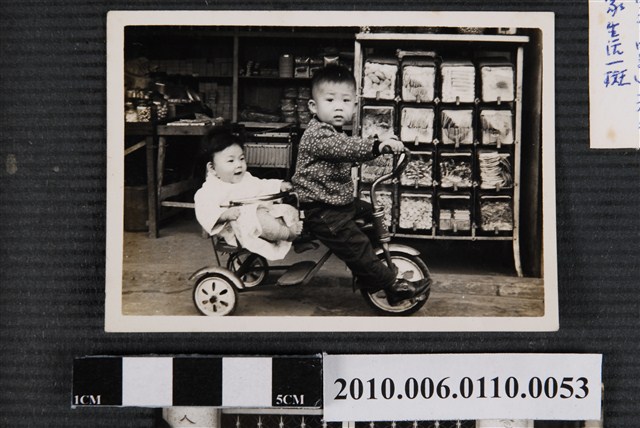 兄妹合照 (共1張)