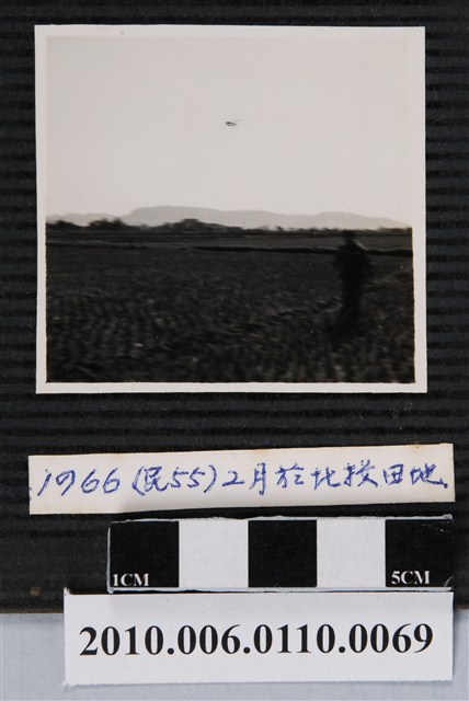 北投田地試飛照 (共1張)