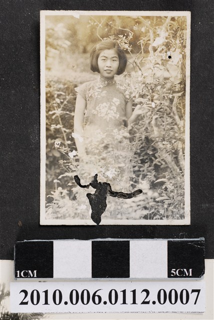 身穿旗袍之女子獨照 (共1張)