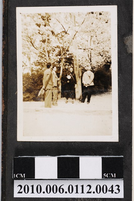 4名男子於樹下合影 (共1張)