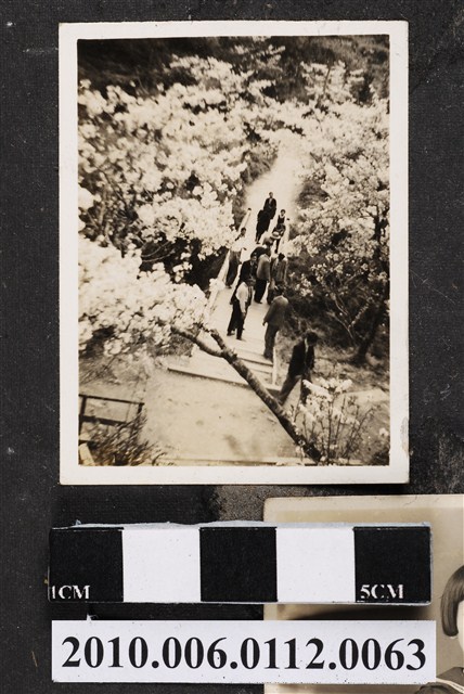 團體合影 (共1張)