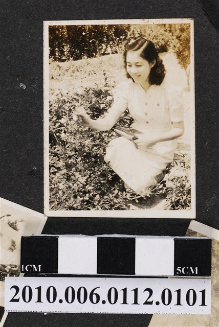 身著洋裝之女子側拍獨照 (共1張)