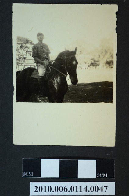 男子騎馬獨照 (共1張)