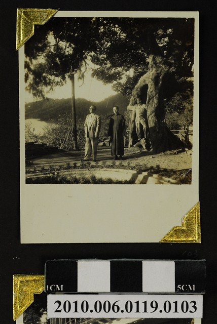 趙琛等三人合照 (共1張)