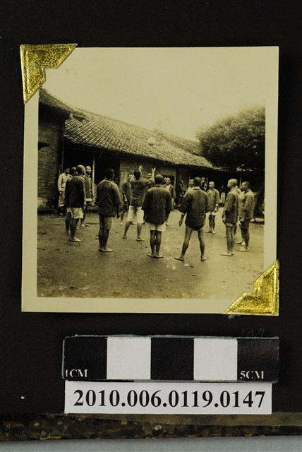 球類活動照 (共3張)