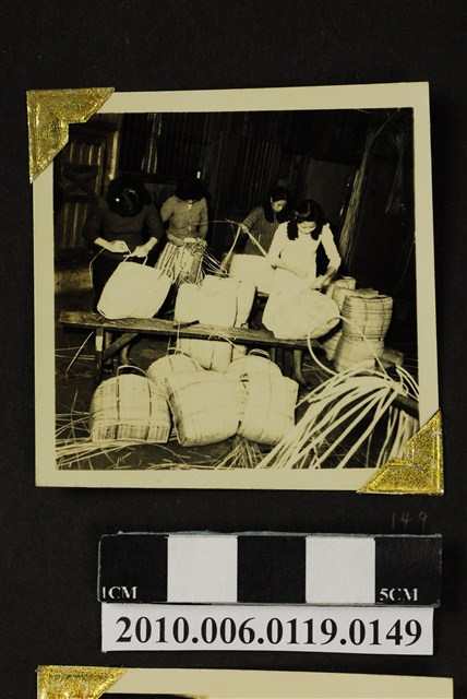 女子編籃剪影 (共3張)