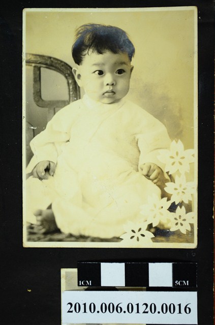 一孩童獨影之照片 (共1張)