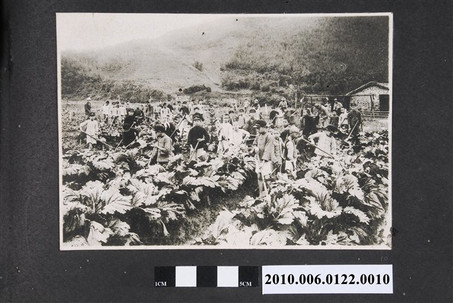 學生農耕活動照 (共1張)