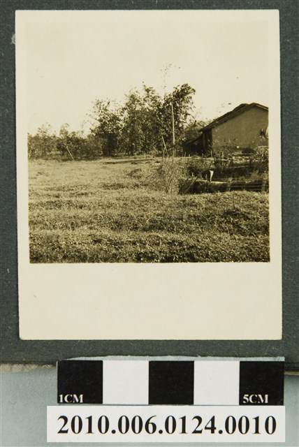 房舍一景 (共1張)