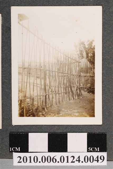 籬笆一景 (共1張)