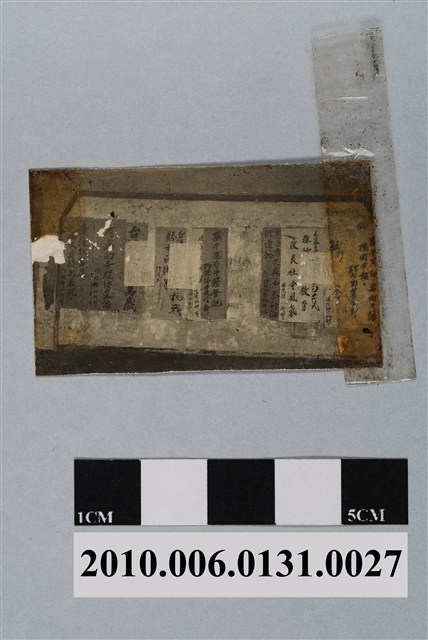 臺灣省第三屆南區畜牛健康比賽公佈欄 (共3張)