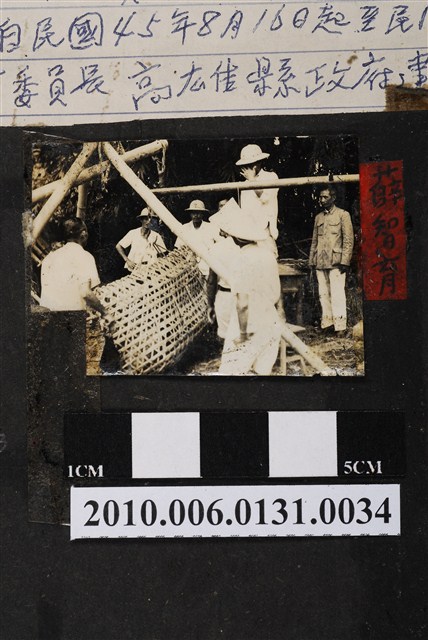 高雄市褒忠亭第十屆神豬比賽評定體重 (共3張)