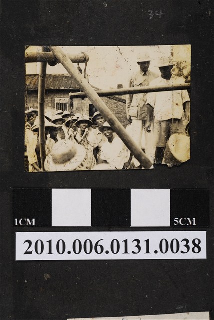 高雄市褒忠亭第十屆神豬比賽評定體重 (共3張)