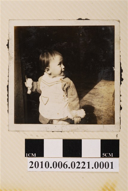 兒童獨照 (共1張)