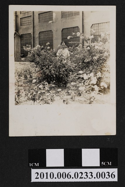 女子獨照 (共1張)