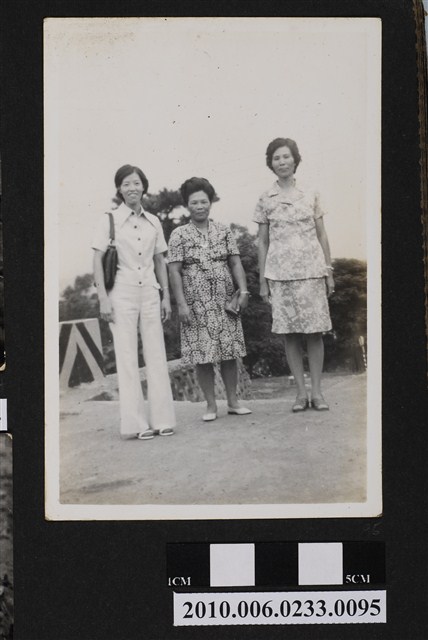 三人合照 (共1張)