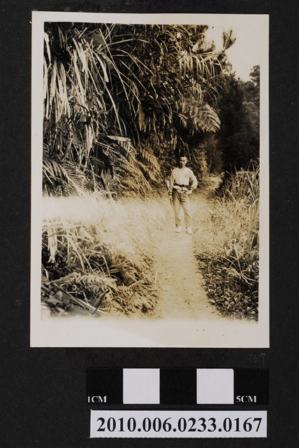 男子獨照 (共1張)