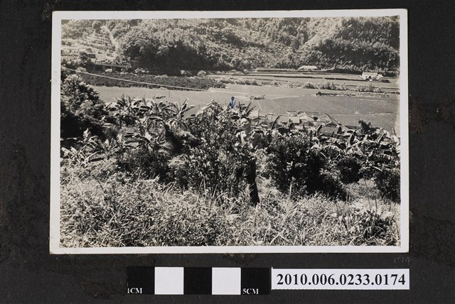 男子獨照 (共1張)