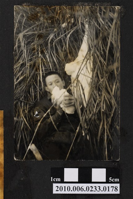 男子獨照 (共1張)