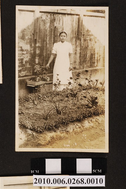 女子獨照 (共1張)