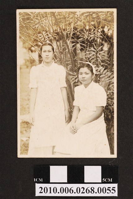 兩女合照 (共1張)