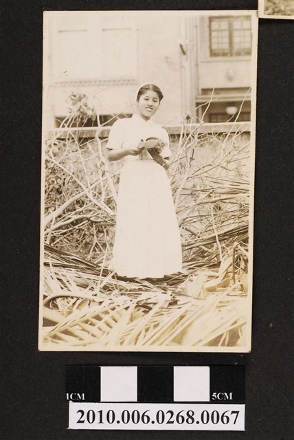 女子獨照 (共1張)