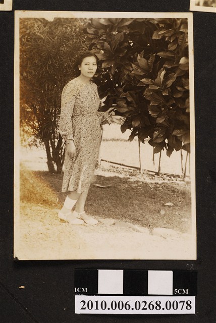 女子獨照 (共1張)