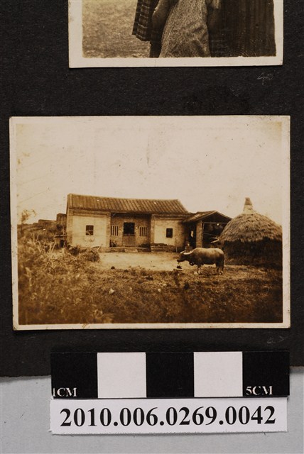 農村一景 (共1張)