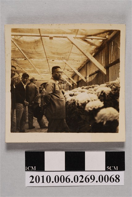 男子於花市剪影 (共2張)