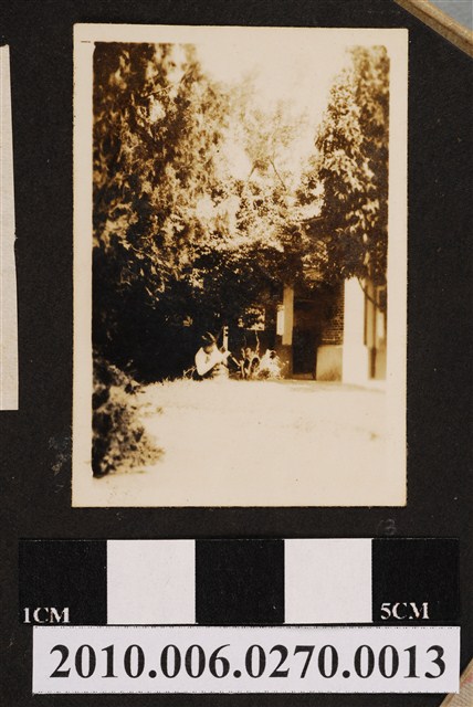 民國39年皮子寮國民學校園景觀照 (共1張)