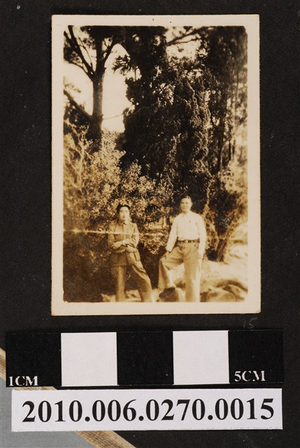 民國39年皮子寮國民學校男子合照 (共1張)