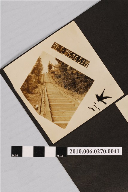 日月潭文武廟登天路階梯照片 (共1張)