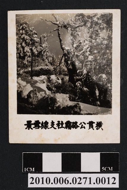 霧社支線雪景 (共2張)