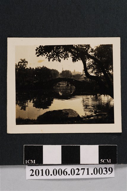 拱橋與樹影 (共2張)