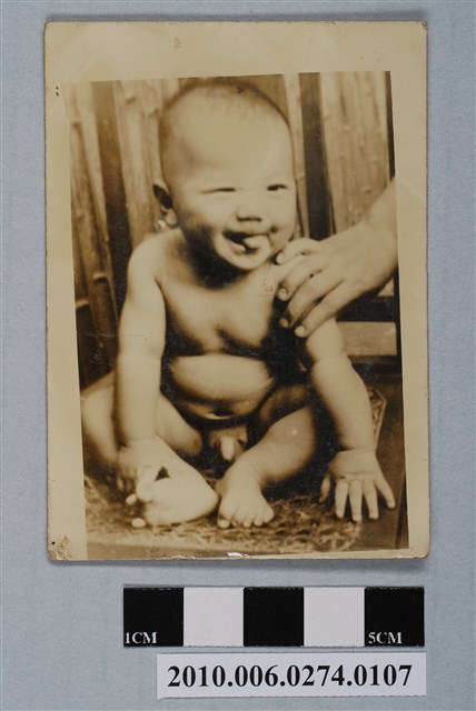 崇順獨照 (共2張)