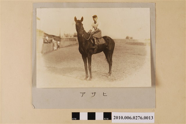 賽馬（馬名：朝日） (共1張)