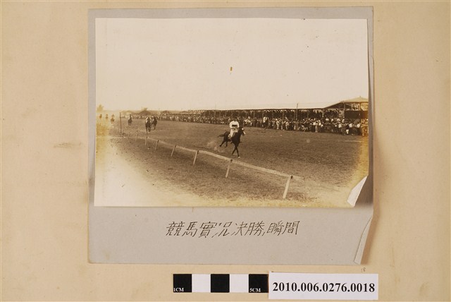 賽馬決勝衝刺剪影 (共1張)