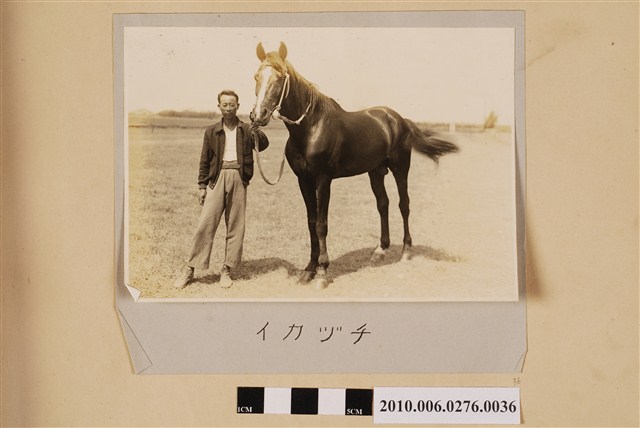 賽馬（馬名：雷） (共1張)