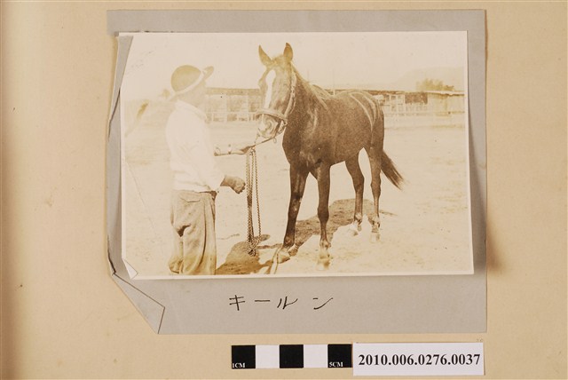 賽馬（馬名：基隆） (共1張)