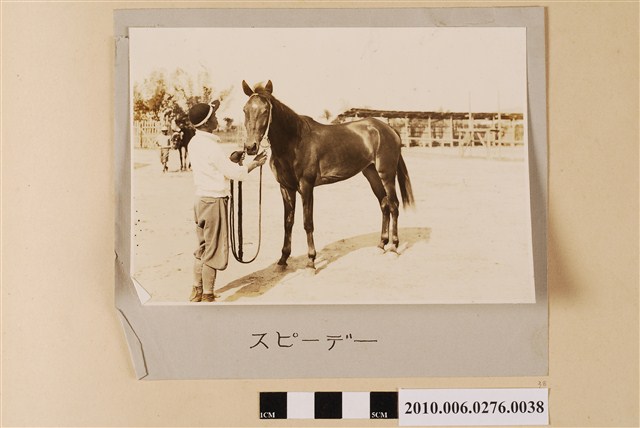 賽馬（馬名：快速） (共1張)