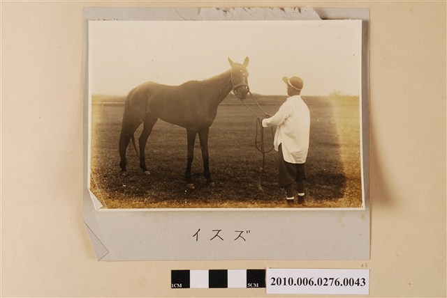 賽馬（馬名：五十鈴） (共1張)