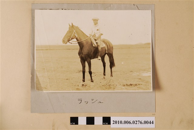 賽馬（馬名：奔） (共1張)