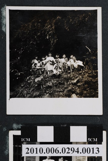 十三人合照 (共1張)