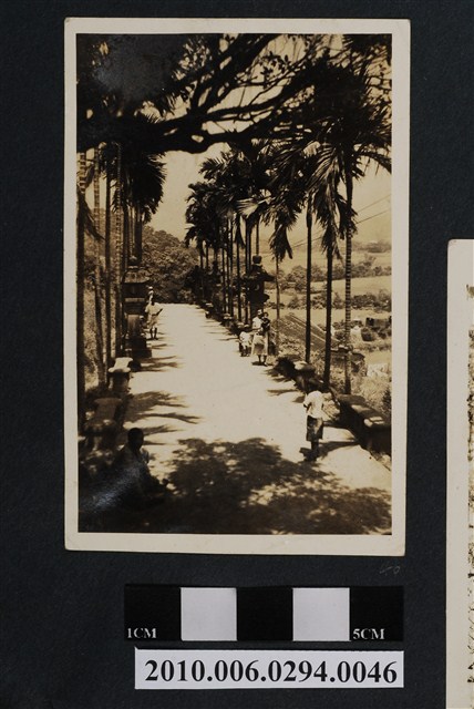 木柵仙公廟一景 (共1張)