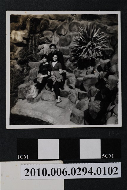 三人合照 (共1張)