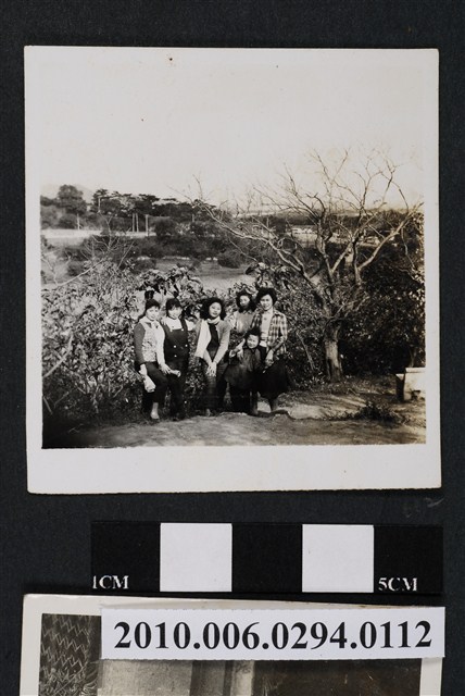 六人合照 (共1張)